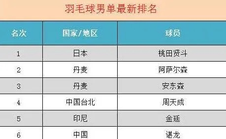 世界羽毛球冠军排名及其成就介绍-第3张图片-www.211178.com_果博福布斯