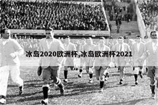 冰球欧洲杯举办地 2021欧洲杯有没有冰岛-第2张图片-www.211178.com_果博福布斯