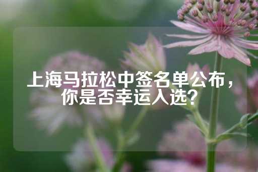 上海马拉松中签名单公布，你是否幸运入选？