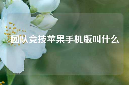 团队竞技苹果手机版叫什么