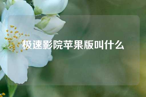 极速影院苹果版叫什么