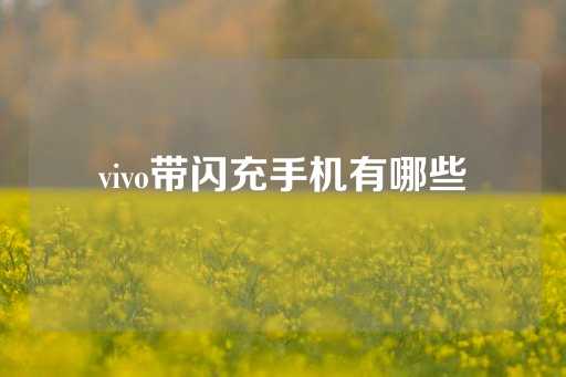 vivo带闪充手机有哪些